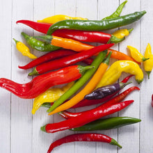 Cayenne Pepper Hot Mix Seeds for growers stocking a kitchen garden