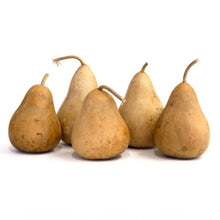 Gross Martin Haus Gourd Seeds (Lagenaria siceraria) for productive rows in the birdhouse crafting and vertical garden use