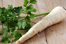 Hamburg Rooted Parsley Seeds (Petroselinum crispum) for cooks growing the kitchen herb garden