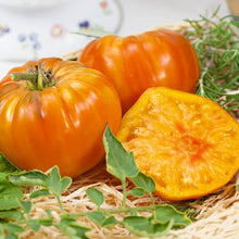 Amana Orange Tomato Seeds for a fresh homegrown crop from the Your Garden