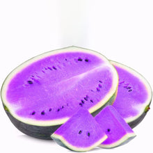 Purple Watermelon Seeds (Citrullus lanatus) for a reliable harvest in the home garden and backyard spaces