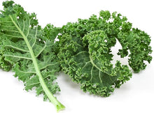 Rapeseed Brassica Napus F1 Golden Purple Seeds known for kitchen Fresh Use
