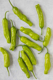 Organic Shishito Pepper Seeds for growers stocking a kitchen garden