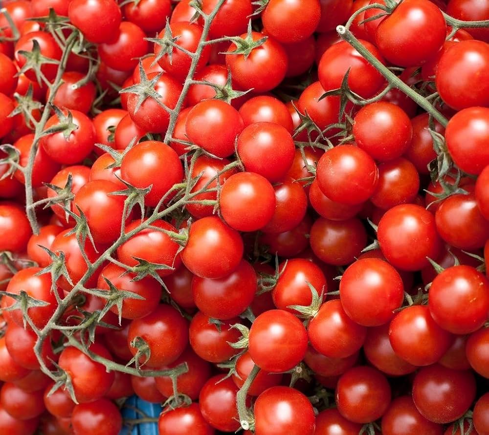 Cherry Tomato Seeds