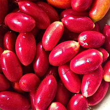 Porcelain Berry Seeds for growers wanting a homegrown harvest