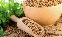 Pallas Coriander Coriandrum Sativum Seeds for cooks growing the Herb Garden & Vegetable Patch
