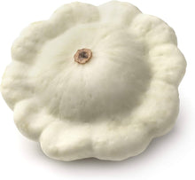 White Patisson Squash Seeds for growers stocking a kitchen garden
