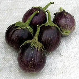 Eggplant Cooking for planting in home garden.