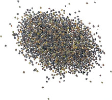 Rockcress Seeds (Aubrieta deltoidea) for colorful blooms in the Rock Garden