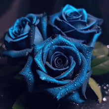 Rare Blue Rose Tree Seeds for long-term planting in the yard