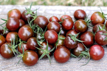 Honkin' Big Black Seeds (Cherry tomato) valued by growers for bold sweet bites