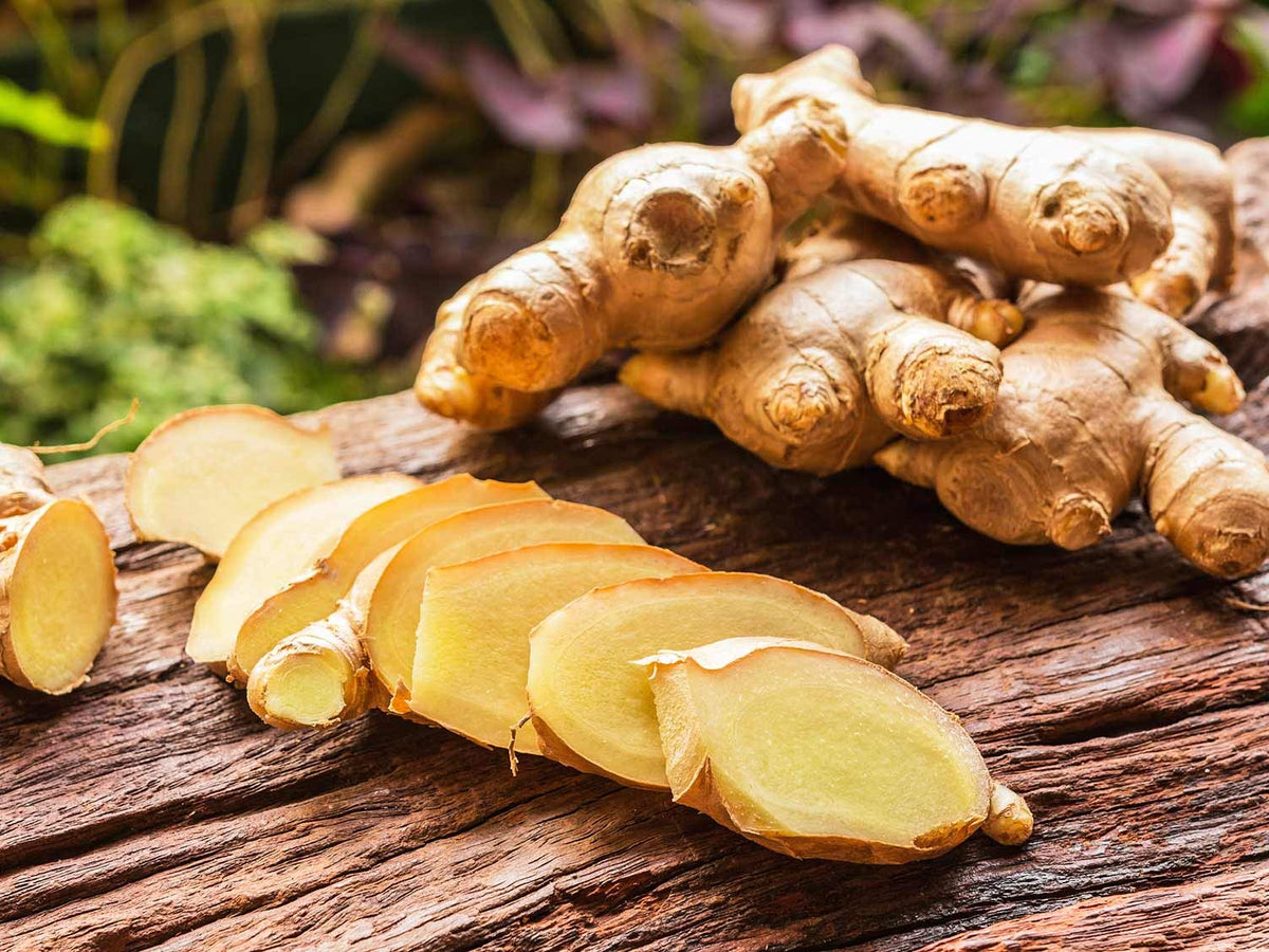 Imported Ginger Balcony Vegetables Seeds