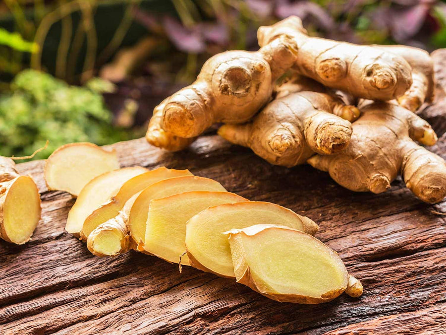 Imported Ginger Balcony Vegetables Seeds