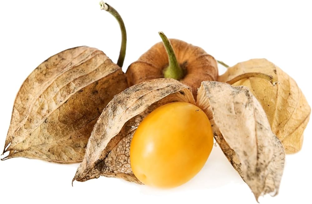 Ananas (Tomatillo Physalis philadelphica vegetable) for planting in garden