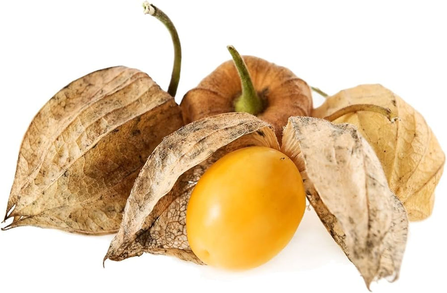 Ananas (Tomatillo Physalis philadelphica vegetable) for planting in garden