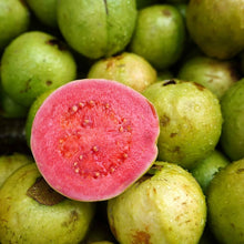 Guava Tropical Exotic Fruiting Seeds grown for edible Fruit Trees
