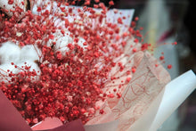 Deep Carmine Baby’s Breath Seeds (Gypsophila elegans) for a lasting display in the Cut Flower Borders