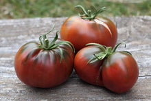 Amazon Chocolate Tomato Seeds for growers stocking a kitchen garden