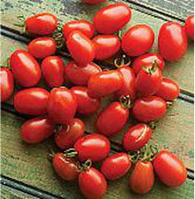 Cherry Seeds (Roma tomato) known for sweet small sauce tomatoes