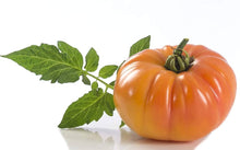 Hamson DX Heirloom Tomato Seeds valued by growers for juicy Home-Grown Tomatoes