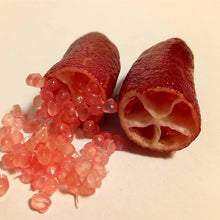 Ice Pink Finger Lime Seeds for growers planting the Balcony Plants