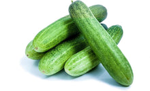 Cucumber Seeds (Cucumis sativus) for productive rows in the Vegetable Patch