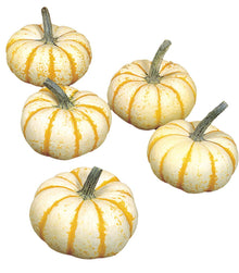 Lil' Pump Ke Mo Pumpkin Seeds for growers stocking the vegetable patch