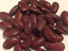 Heirloom Non-GMO Dark Red Kidney Beans Seeds prized among growers for high-Yield, Nutritious Beans