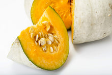Sweet Flesh Winter Squash Seeds for growers stocking a kitchen garden