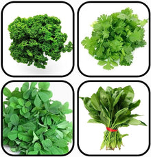 Claytonia Leafy Salad Greens Seeds for gardeners building out beds and borders