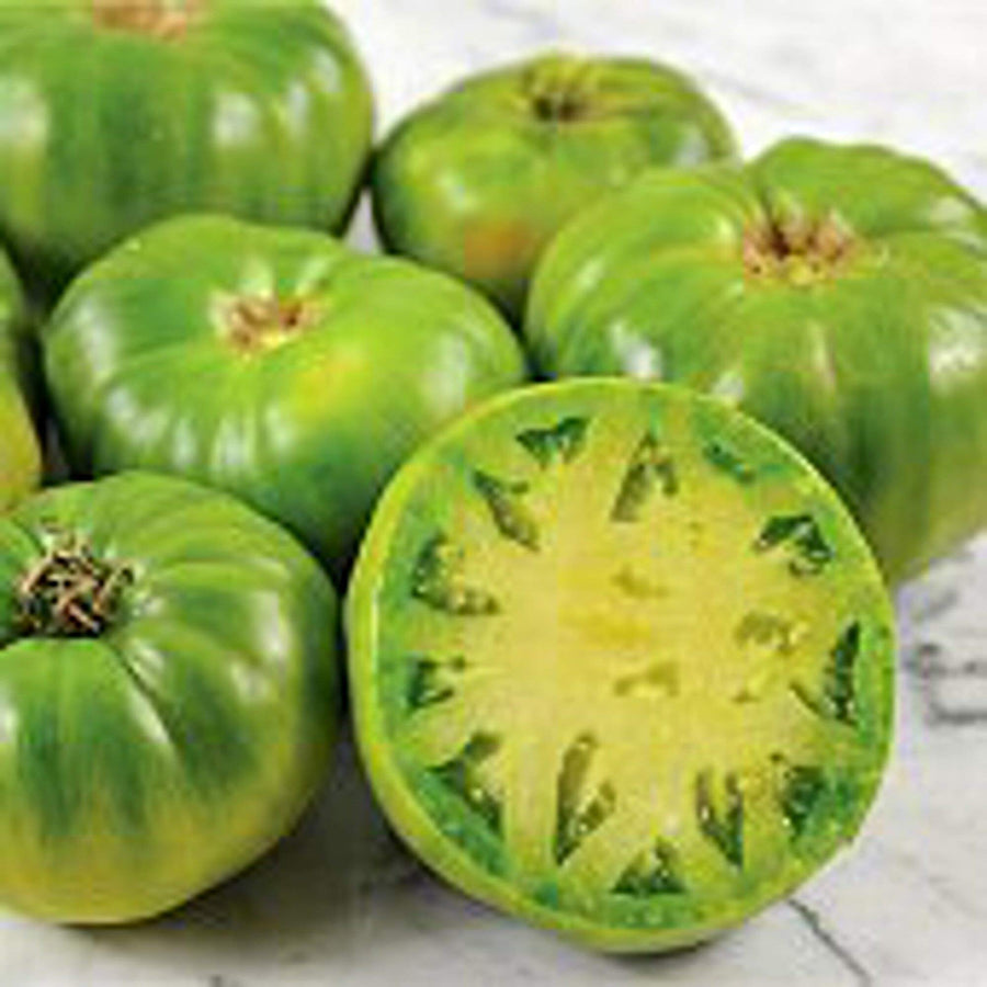 Green Giant Tomato Seeds for Large, Juicy Garden Tomatoes