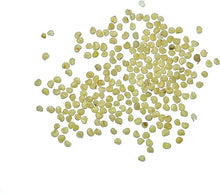 Flower Garden Seeds for growers wanting a homegrown harvest