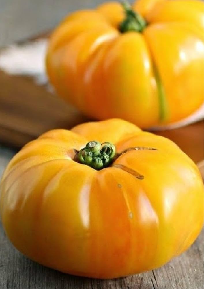 Big (Max Heirloom Pumpkin Seeds – Extra-Large Pumpkins Ideal for Decorating or Baking) for planting in garden