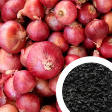 Rare Red Onion Seeds for growers stocking a kitchen garden