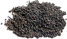 Kale Brassica Oleracea Dwarf Siberian Leaf Seeds for a reliable harvest in the Kitchen Garden