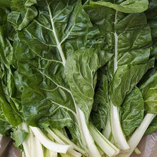 Swiss Chard Fordhook Seeds (Beta vulgaris) for colorful blooms in the kitchen garden and container planting