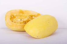Winter Spaghetti Squash Cucurbita pepo seeds for planting in home garden
