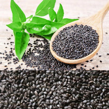 Sweet Basil Seeds (Ocimum basilicum) for a flavorful crop in the Herb Kitchen Pot
