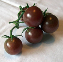 Sun Zucker FT Hybrid Tomato Seeds for growers stocking a kitchen garden