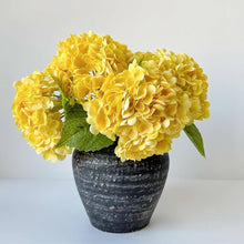 Light Yellow Hydrangea Seeds for growers establishing the Bonsai, Viburnum, Home Garden