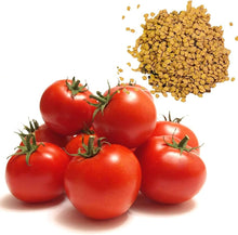 Tomato Seeds for a fresh homegrown crop from the Dark Red Garden