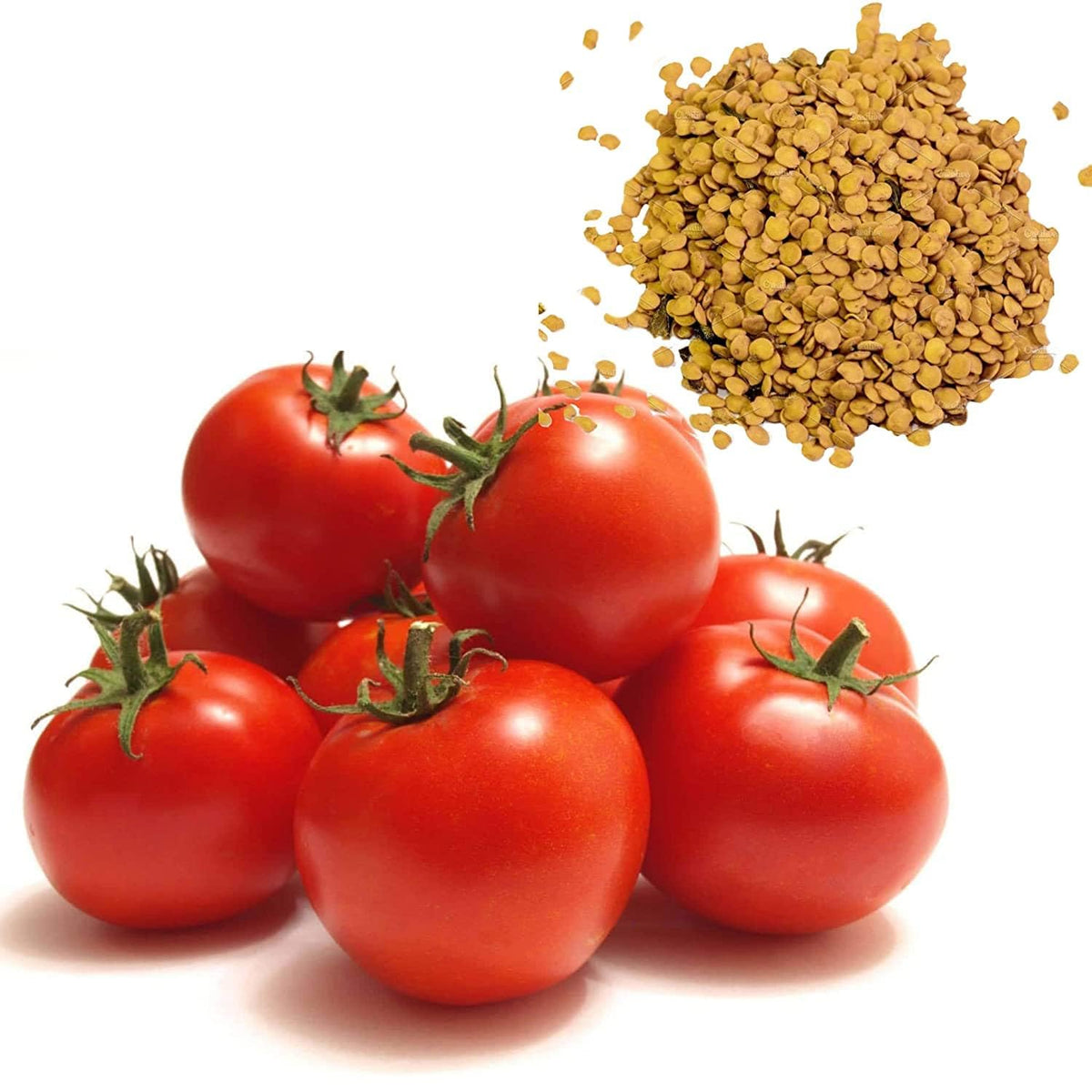 Livingston Gourmet Slicing Mix Tomato Seeds for home growers seeking a reliable harvest