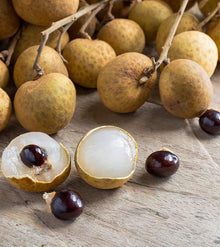 Longan Seeds (Dimocarpus longan) for sweet homegrown fruit in the Tropical Garden