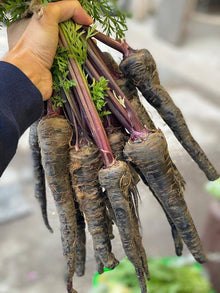 Black Fruit and Seeds for growers stocking a kitchen garden