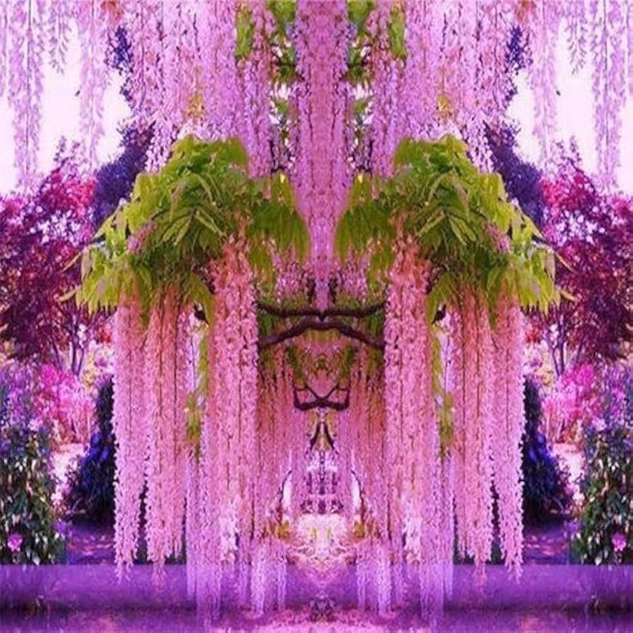 Wisteria Plant Seeds