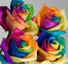 Rose Rosa Hybrida Mixed Color Seeds for colorful blooms in the Romantic Backyard Garden