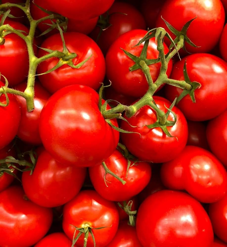 Porter Tomato seeds for delicious, garden-fresh tomatoes