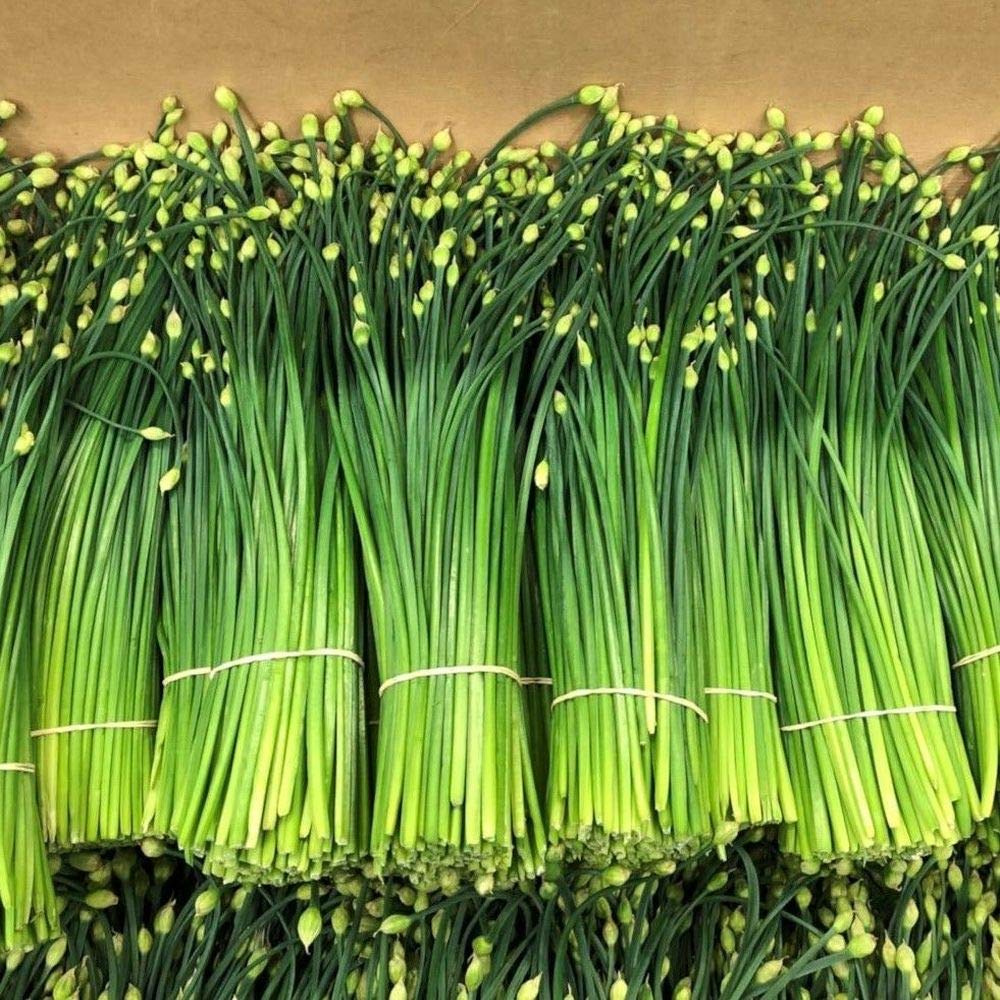 Small Chives for planting