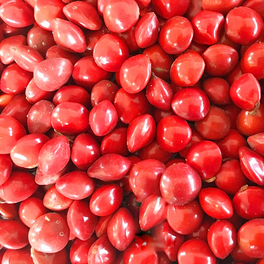 Scarlet Red Nasturtium Seeds â€“ Vibrant Garden Climbing Flowers