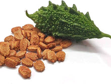 Bitter Melon Balm Apple Seeds (Momordica charantia) for a reliable harvest in the Vegetable Patch